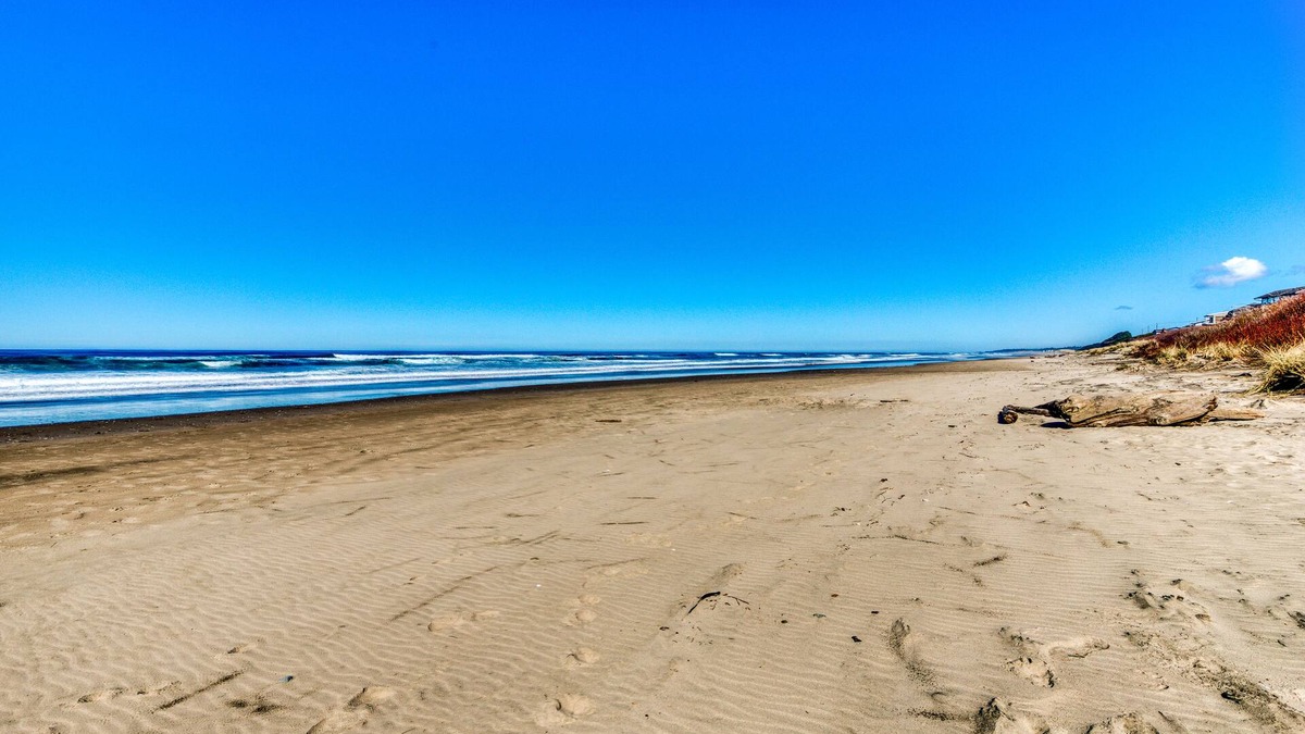 Edgewater Shores Cottage | Quiet Oceanfront Getaway with Ocean Views, Walk to Beach - Dogs Welcome