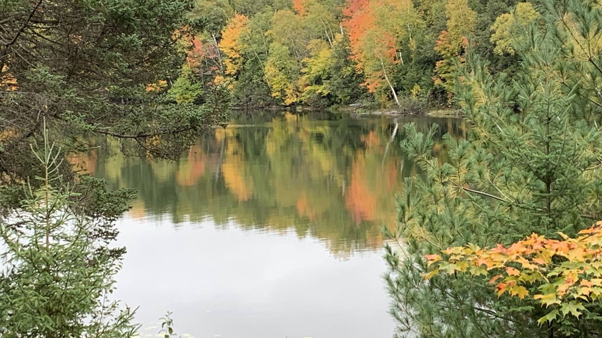 Sayner Cabin | Quiet, peaceful cottage on the lake