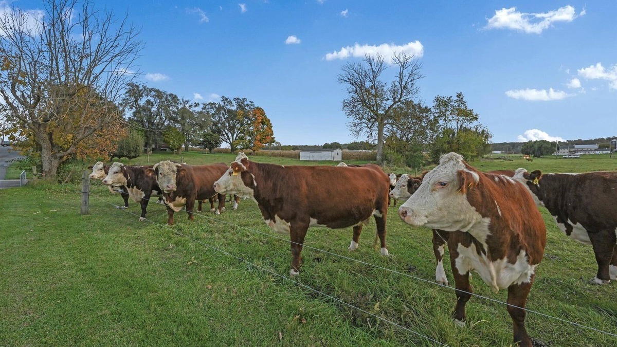 Paradise Apartment | Quiet, private apartment on a 160-year-old farm. Attractions within 5 miles.
