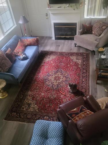 Westminster House | Quiet Relaxing Room