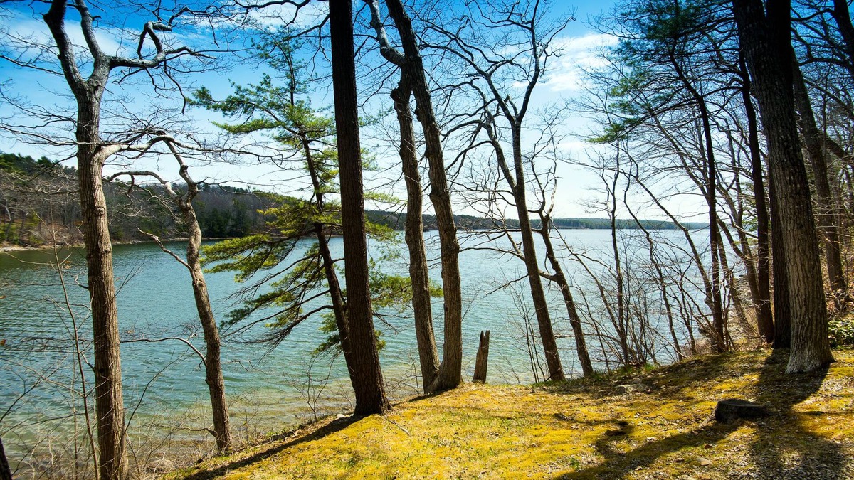 Damariscotta Apartment | Quiet Riverfront getaway to enjoy Midcoast Maine!