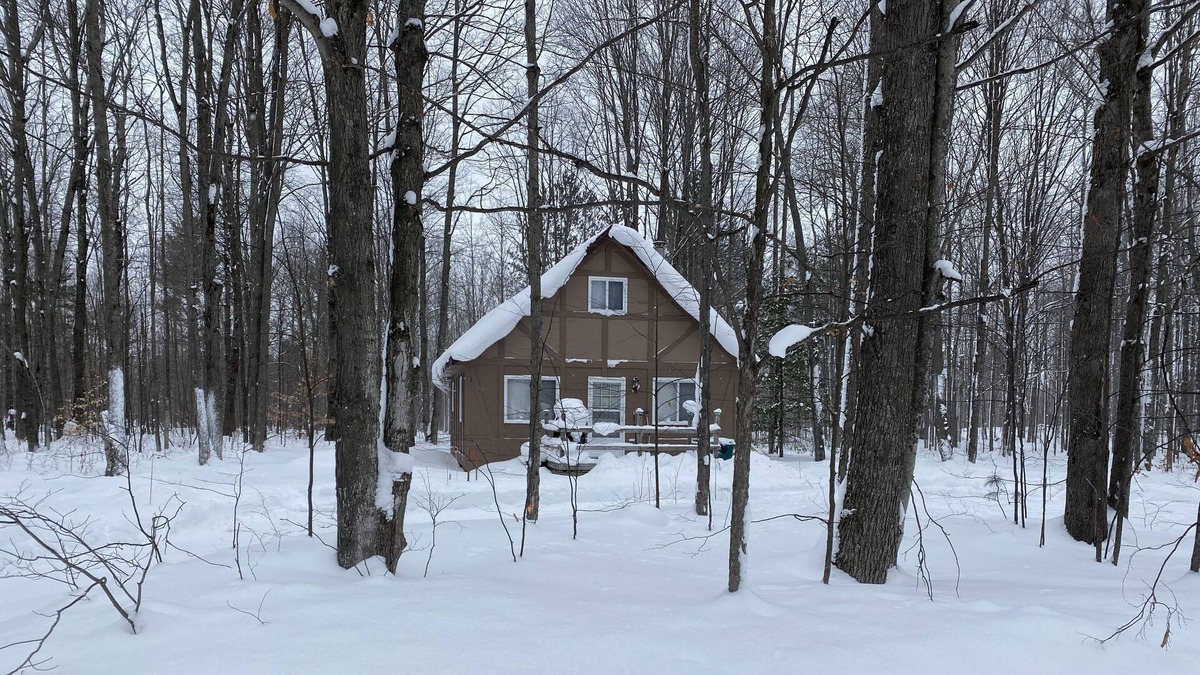 Elmira Cabin | Quiet Romantic Cabin - Pet Friendly
