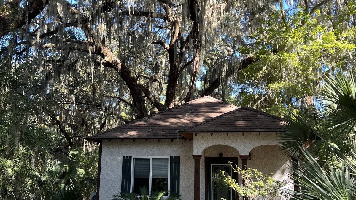 Valona Cottage | Quiet, Secluded Cottage, Close to Sapelo, Birding, nature, fishing Free wi-fi!