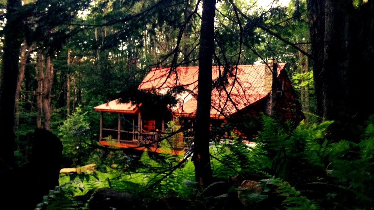 Caroga Lake Cabin | Quiet Seclusion/HotTub/Lake/forest access