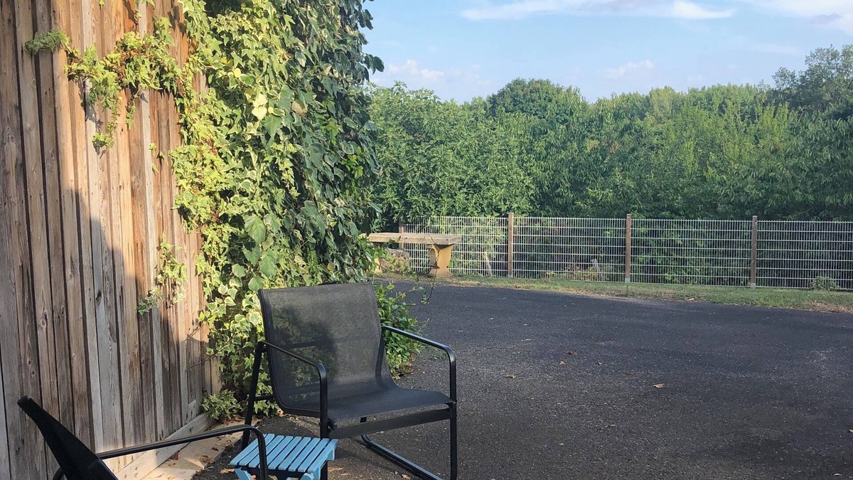 Migne-Auxances Apartment | Quiet studio 8km from Futuroscope