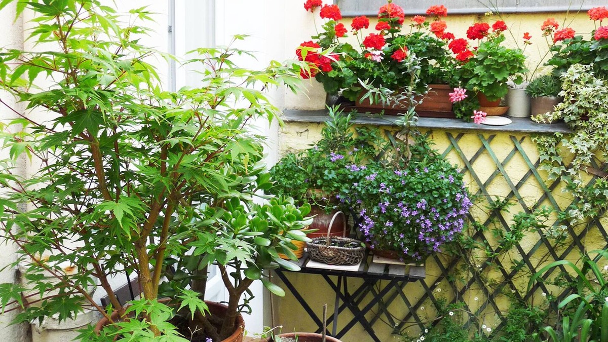 Plaisance Apartment | Quiet studio on courtyard Paris 14th near Montparnasse, 25 m2