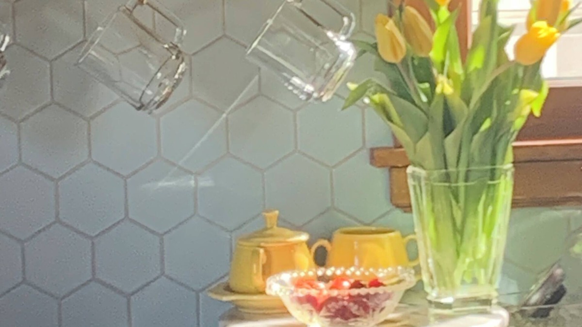 Robbinsdale Bed & Breakfast | Quiet & stylish 1 BR, bathroom, office for solo business traveler in shared home