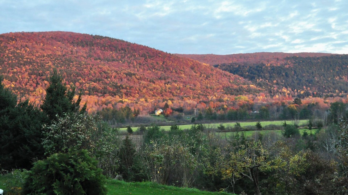 Middlebury Apartment | Quiet, sunny apartment with WiFi and southerly views in delightful Middlebury