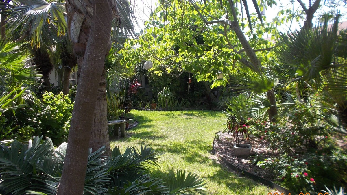 South Padre Island Apartment | QUIET TROPICAL HIDEAWAY Beautiful garden, comfortable one bedroom retreat