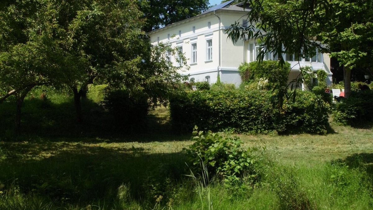 Kluetz Apartment | quiet vacation with a view over fields to Klützer Mühe