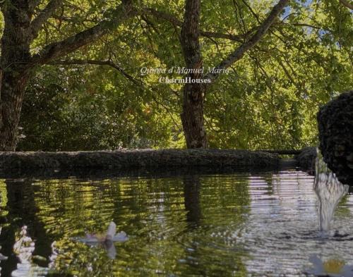Amarante Villa | Quinta D`Manuel Maria- Rural Charm Houses