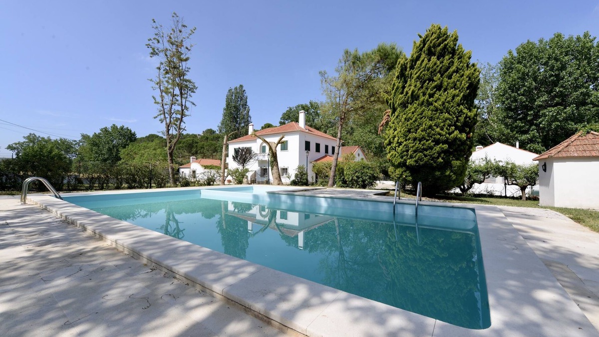Carvalhal Benfeito Villa | Quinta da Barreira - Villa set Within a Vineyard