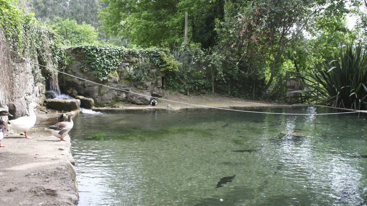 Mosteiro Other | Quinta DA Eira - Relaxe no Campo