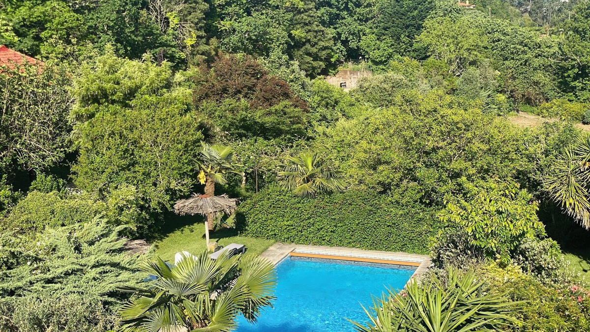Vila Cha do Marao House | QUINTA DE RIBAS - Les Bougainvilliers charming house for families or groups