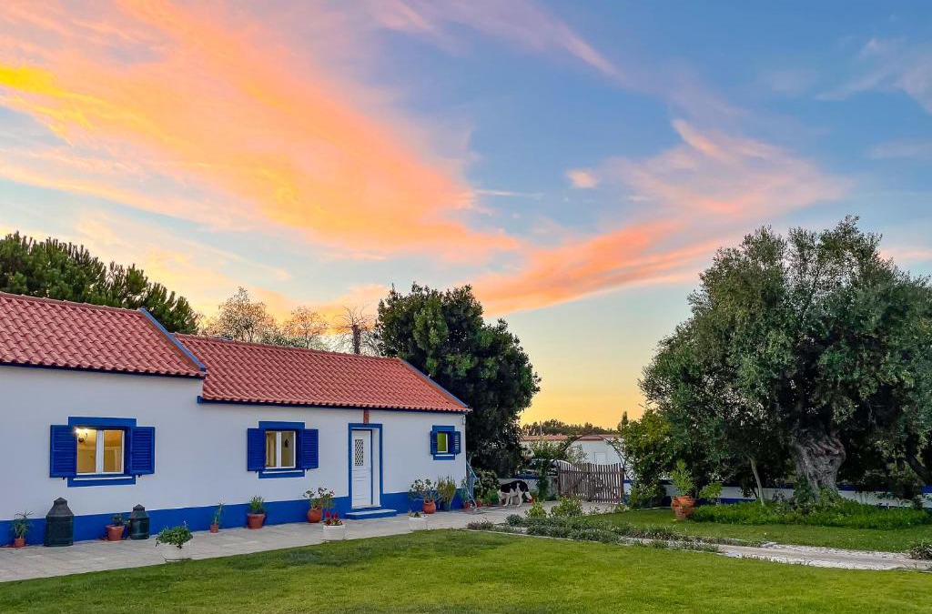 Santo Estevao Apartment | Quinta do Cutato - Soba Guest House