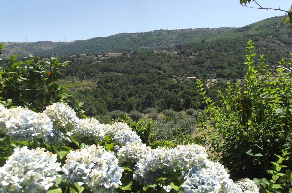 Guarda Apartment | Quinta do Pina