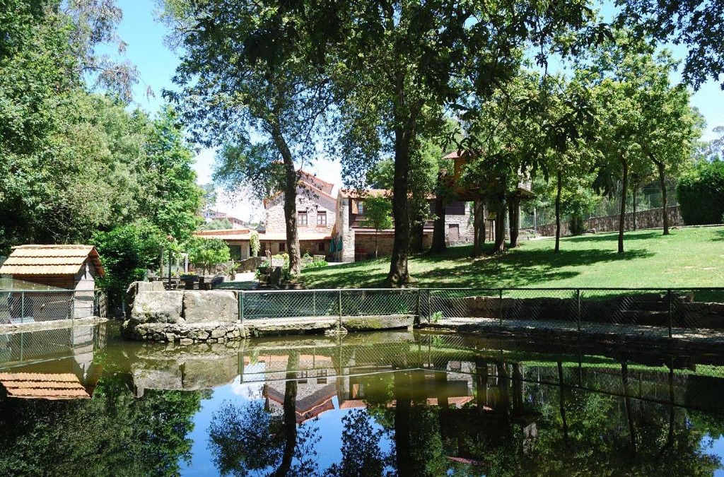 Santa Maria da Feira House | Quinta Padre Lobo