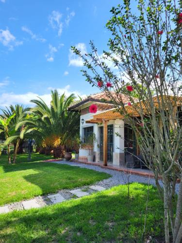 Tumbabiro Bed & Breakfast | Quinta Paolita
