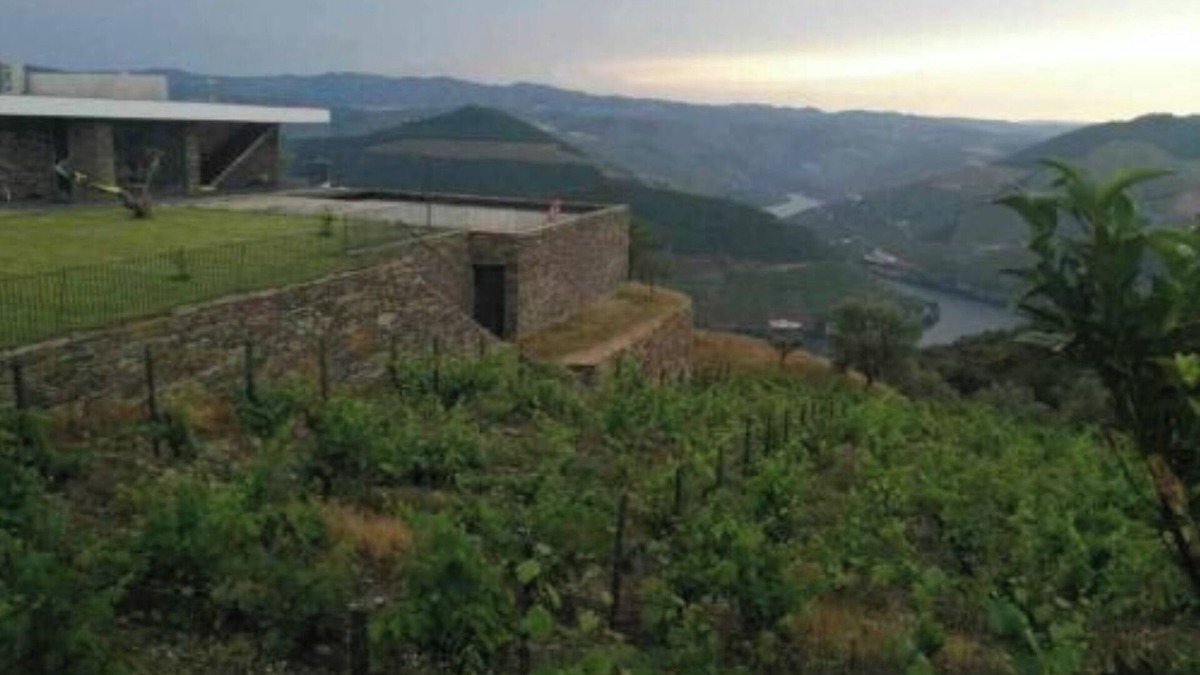 Bomfim Villa | Quinta Vale das Papas, Vineyard House at Douro Valley