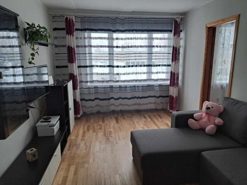 Rapina Apartment | Räpina