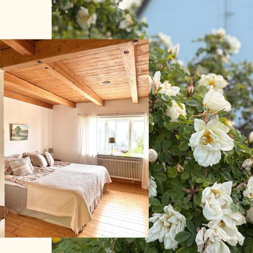 Hammenhog Bed & Breakfast | Rävåkra B&B Österlen