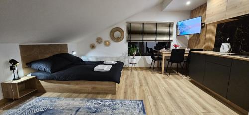 Naleczow Apartment | Różana 4 studio