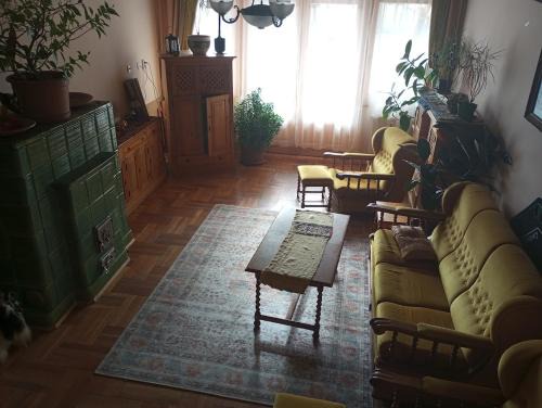Romhany Bed & Breakfast | Rózsakert