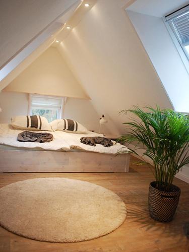Klanxbuell Apartment | Rüthlis Hüs