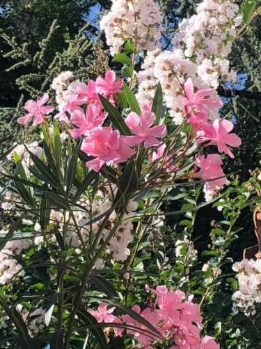 Buon Pastore-Sant'Agnese-San Damaso Bed & Breakfast | R&B MiDora Modena