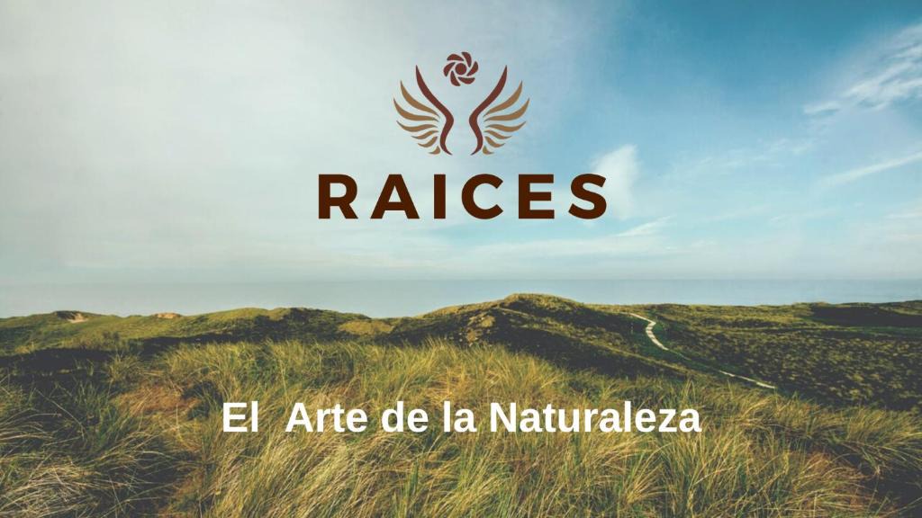 Ongamira Cabin | Raíces Ongamira