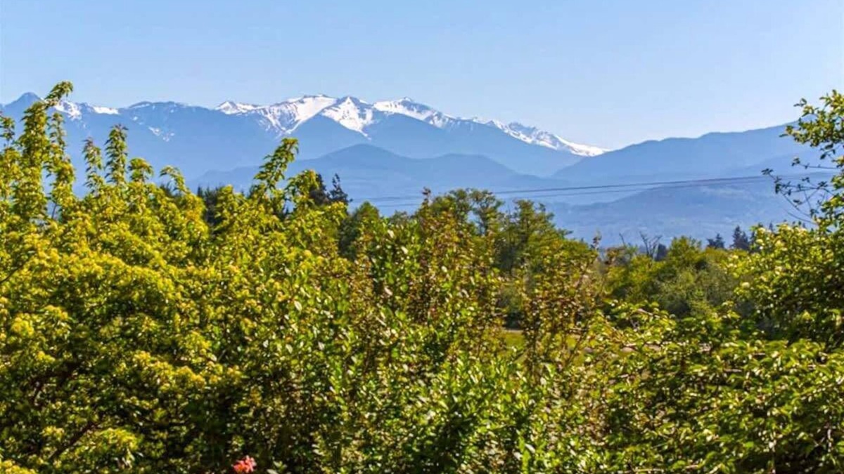 Sequim Apartment | Rabbit's Peaceful Retreat with Stunning Views