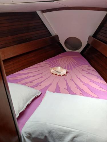 Uturoa Boat Rental | Raiatea Marine express cabin