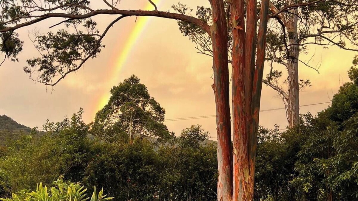 Dairyville Apartment | Rainbow Farm Studio - Sleep to the sounds of the Orara River 15 mins from Coffs.