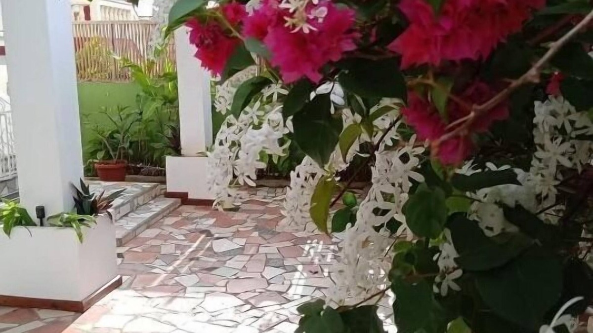 St. Andrew Hotel | Rainbow Inn