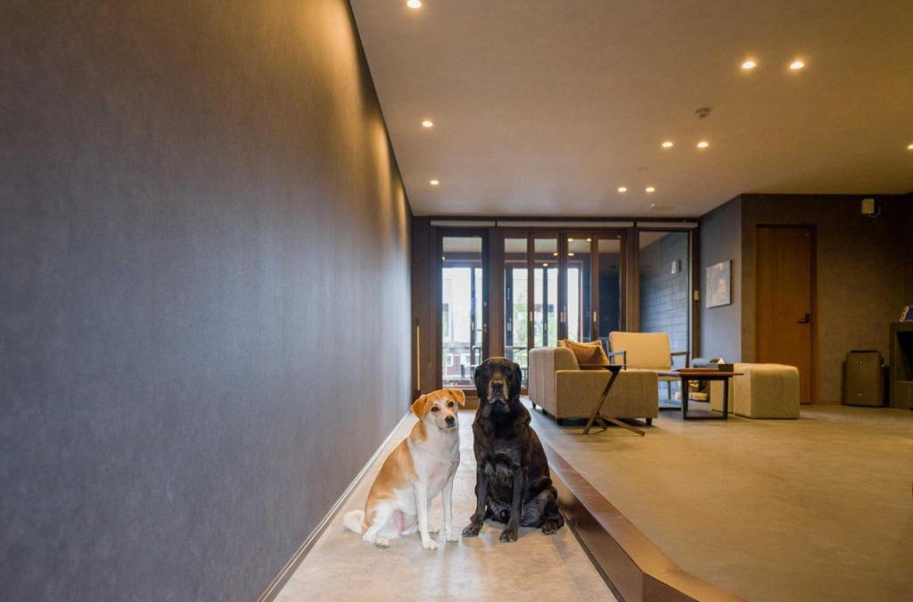 Shinkashio Onsen House | Rakuten STAY VILLA Nasu Standard Room pet allowed Capacity of 4 persons