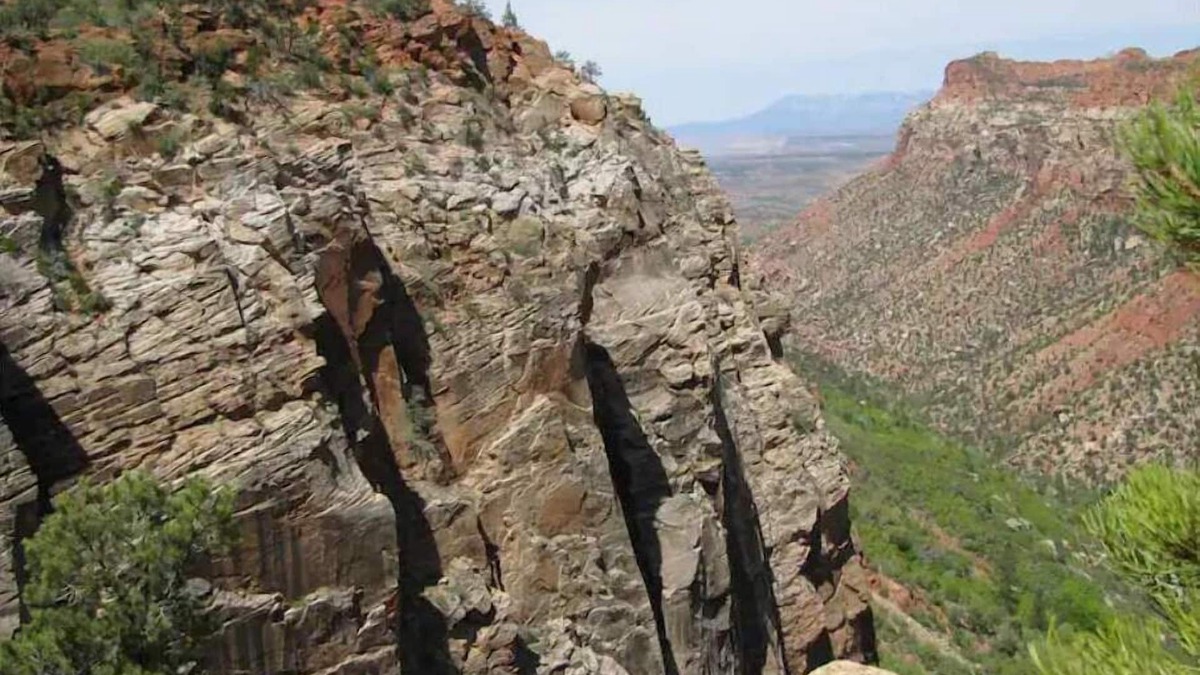 Cane Beds Cabin | "Ranch Cabin" by Zion, Bryce & Grand Canyon