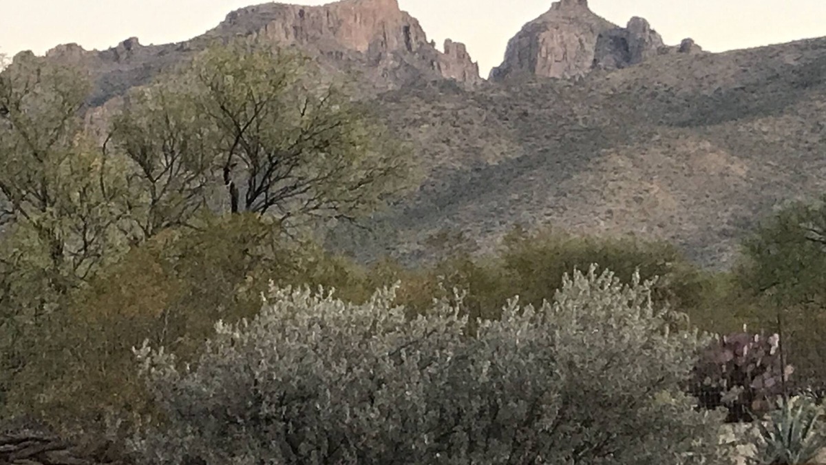Tanque Verde House | Ranch Casita: views, views, views!
