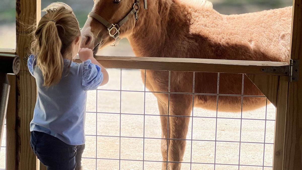 Centerville Cabin | Ranch Lodge - A Texas Ranch Getaway