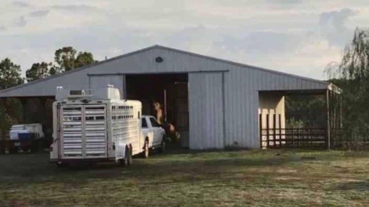 Siloam Springs House | Ranch time w Bronco & Betsey!