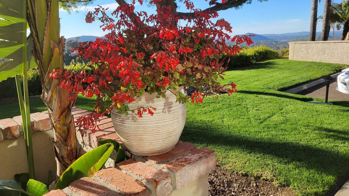 Rancho Bernardo House | Rancho Bernardo Peaceful Comfort with Canyon Views