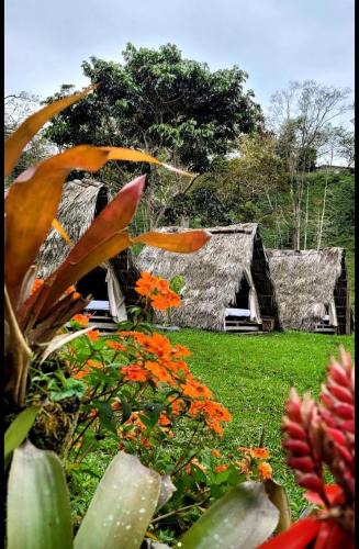 Mocoa Bed & Breakfast | Rancho Porvenir