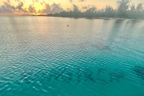 Rangiroa House | Rangiroa Tiny House
