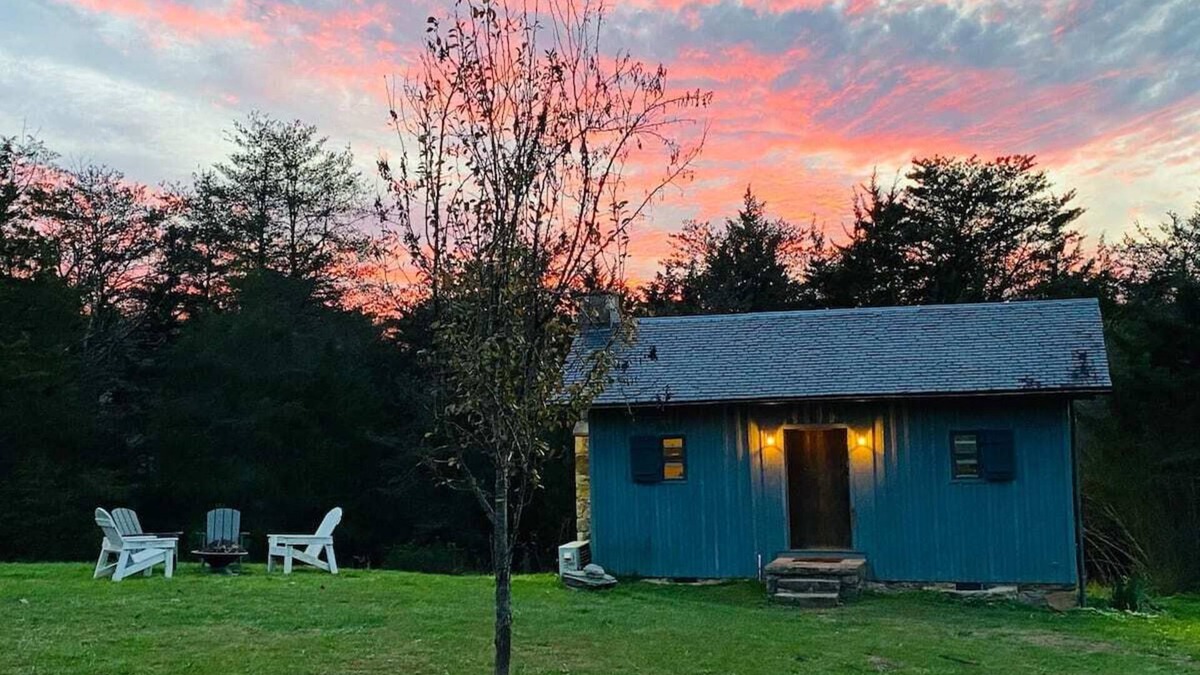 Scottsville Apartment | Rare Find: Private Animal Sanctuary & Tiny Cottage