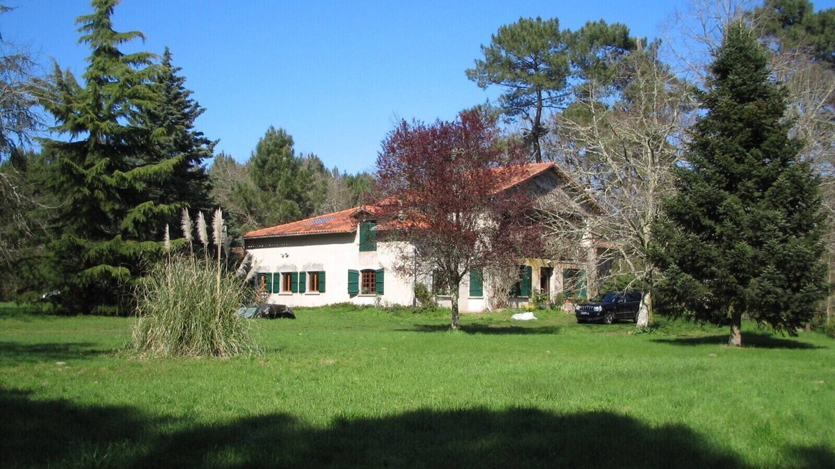 Sos Other | Rare forest house (1290ft², bedroom 485ft²), untouched nature with swimming lake
