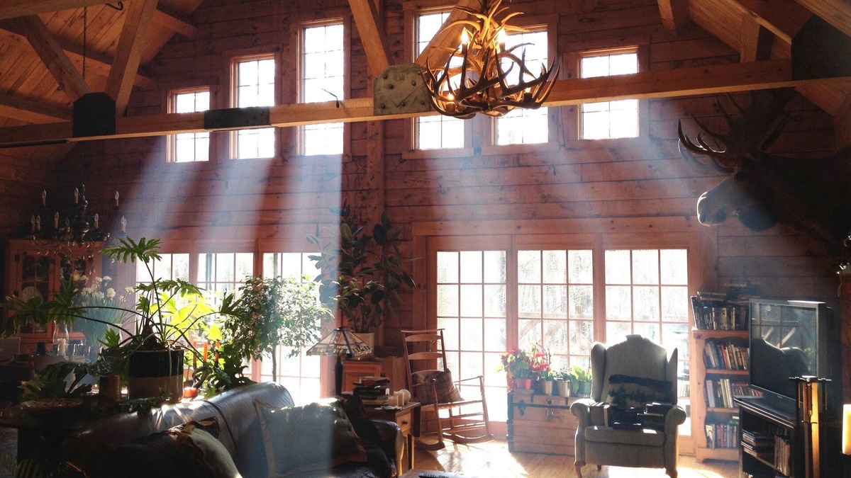 Baptistown Cabin | Rare private cabin retreat surrounded by 1700 acres of woods, yet close to town.