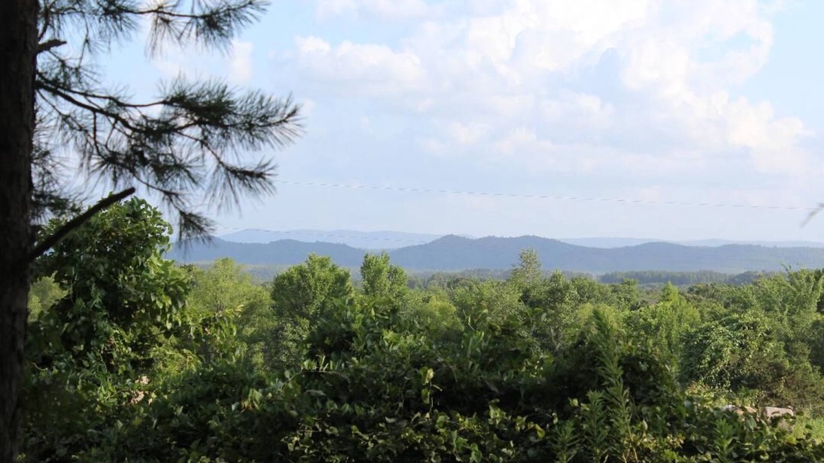 Pine Ridge House | Ravensong is a cozy cabin that borders Ouachita National Forest! Pets allowed