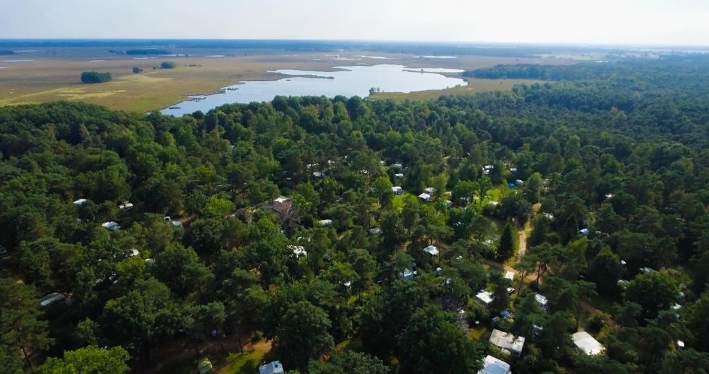 Dwingeloo Resort | RCN Vakantiepark de Noordster