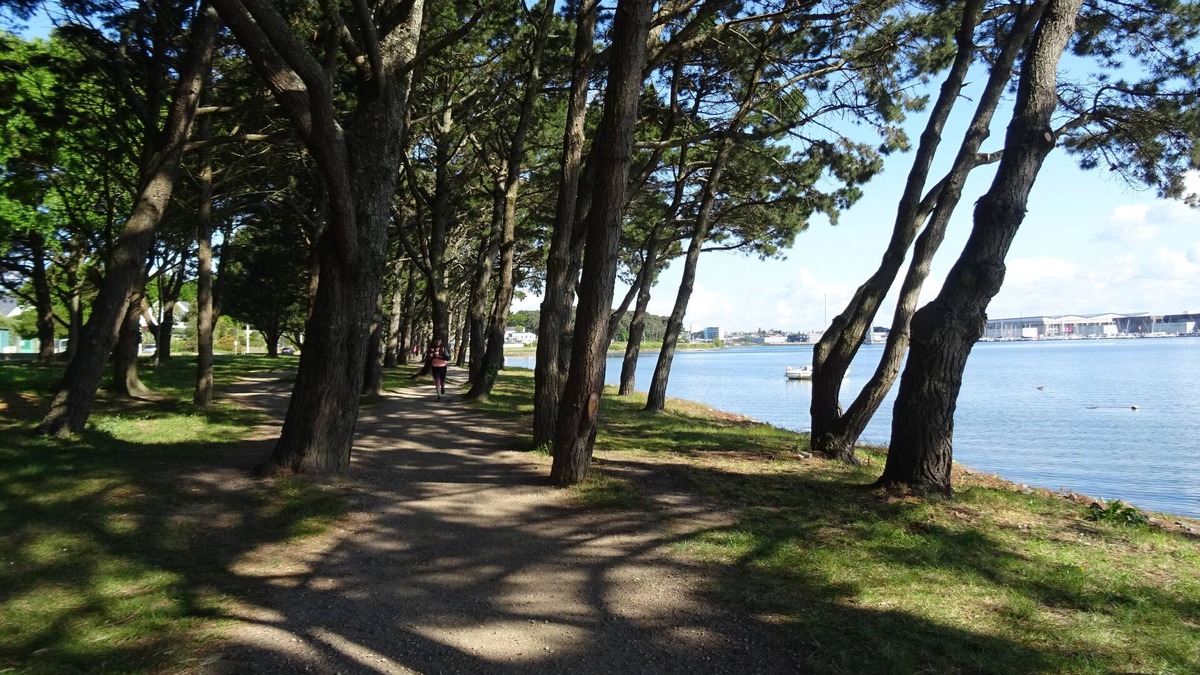 Larmor-Plage Apartment | Recent apartment in the immediate vicinity of the sea