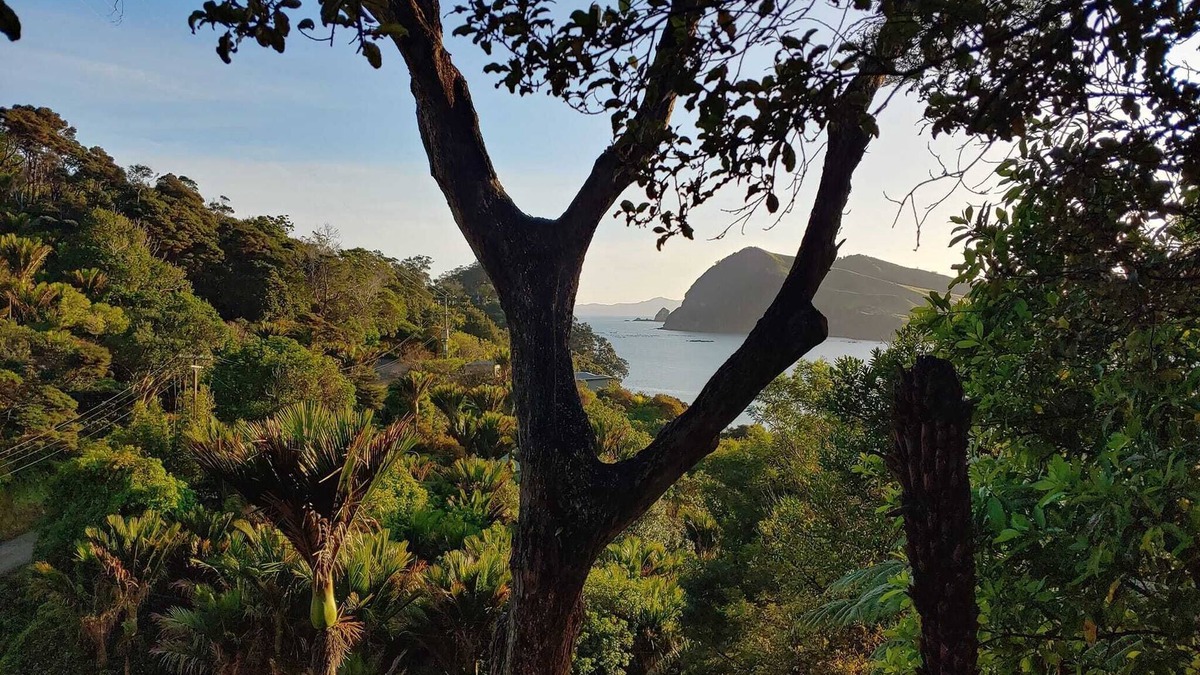 Port Charles House | Recharge in Paradise at the Ocean
