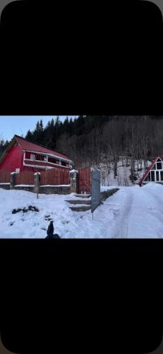 Schitu-Tarcau House | Red Chalet